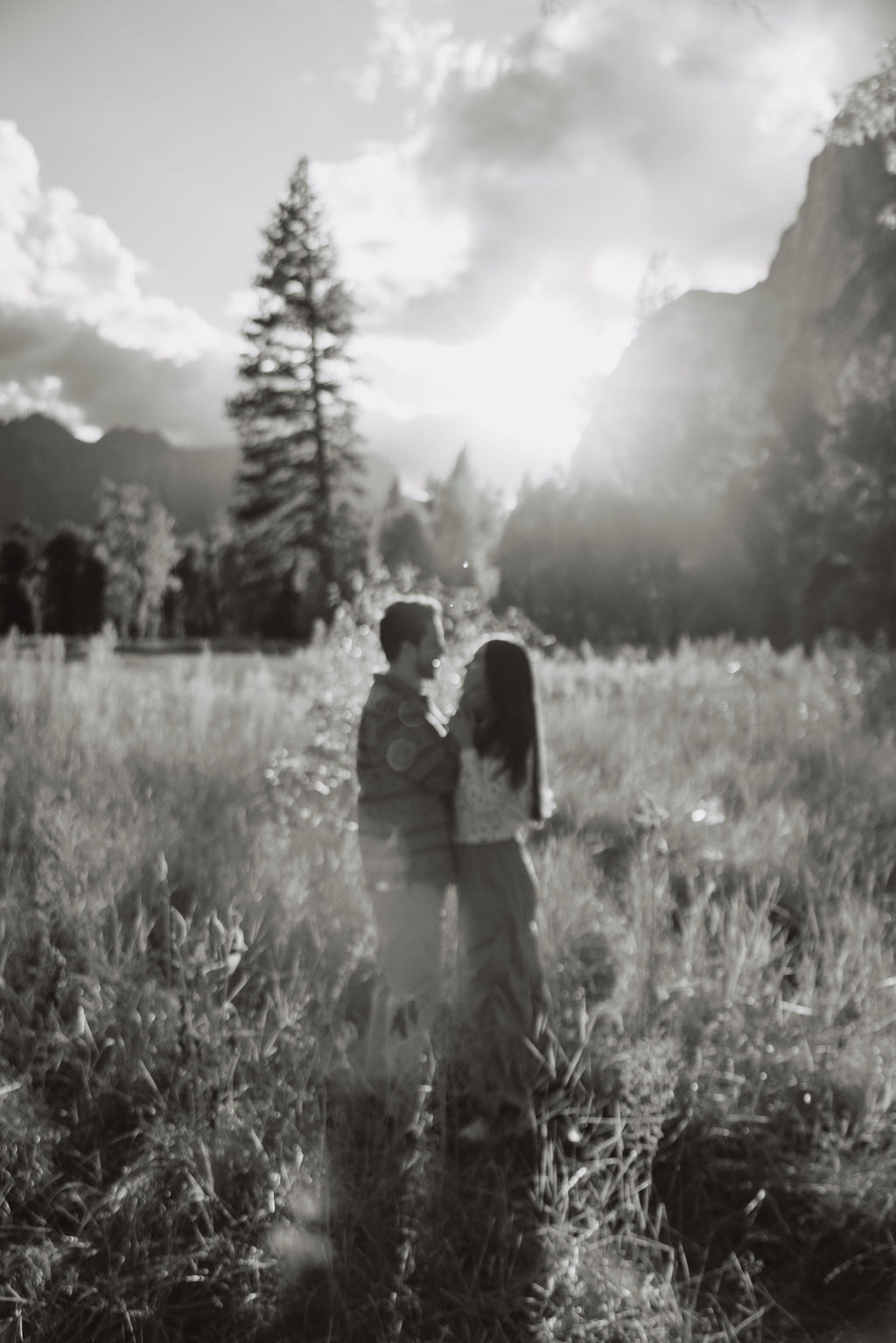 A couple stands in a sunlit field surrounded by trees, looking at each other affectionately. Sunlight creates a warm, golden glow taken by a yosemite proposal photographer