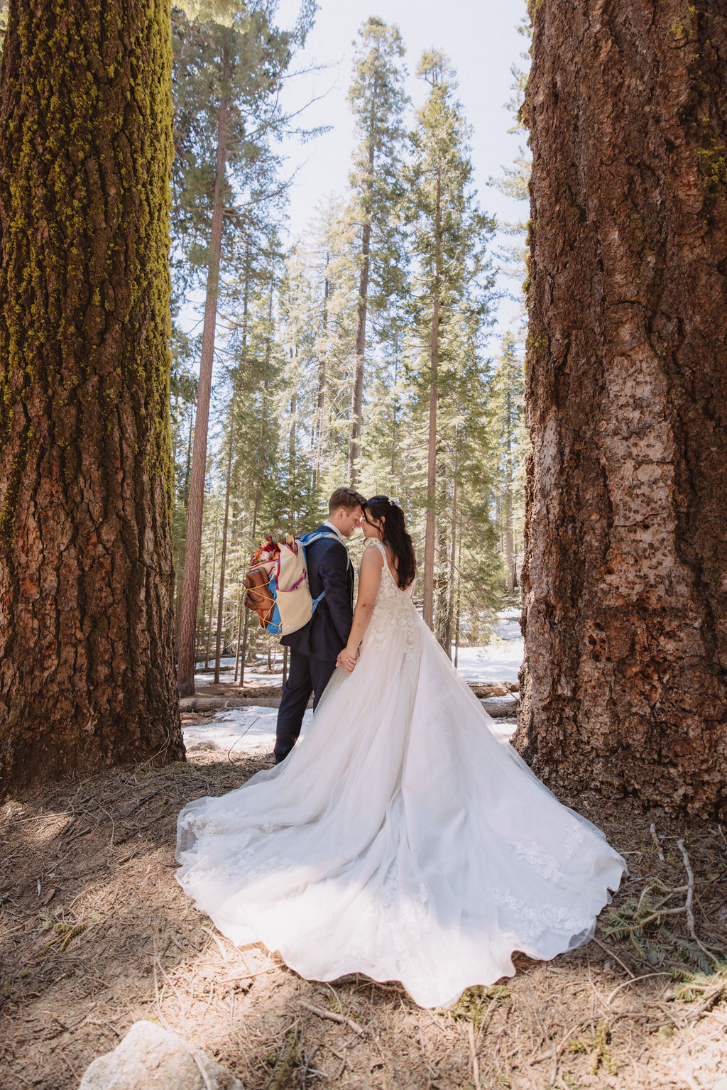 A bride and groom walk hand in hand between two large trees in a forest, with sunlight filtering through the leaves. The bride wears a long white gown. How to Include Friends & Family in Your Elopement