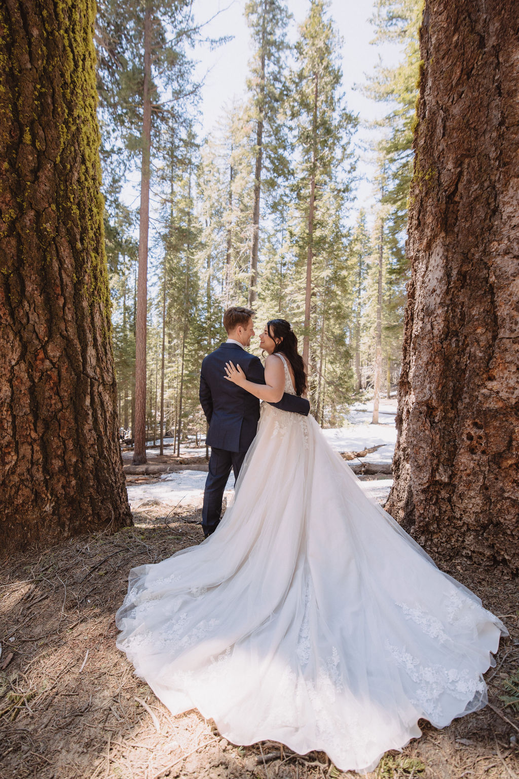 A bride and groom walk hand in hand between two large trees in a forest, with sunlight filtering through the leaves. The bride wears a long white gown. How to Include Friends & Family in Your Elopement