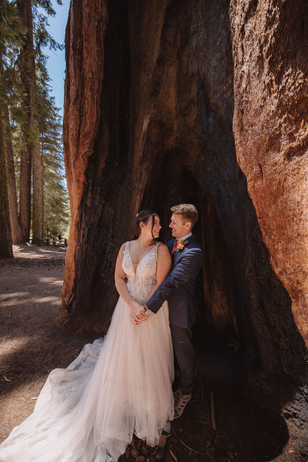 A bride and groom walk hand in hand between two large trees in a forest, with sunlight filtering through the leaves. The bride wears a long white gown. How to Include Friends & Family in Your Elopement