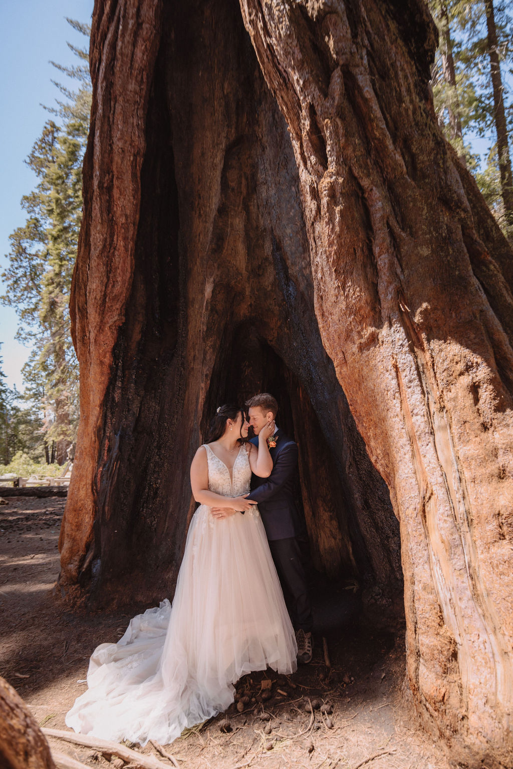 A bride and groom walk hand in hand between two large trees in a forest, with sunlight filtering through the leaves. The bride wears a long white gown. How to Include Friends & Family in Your Elopement