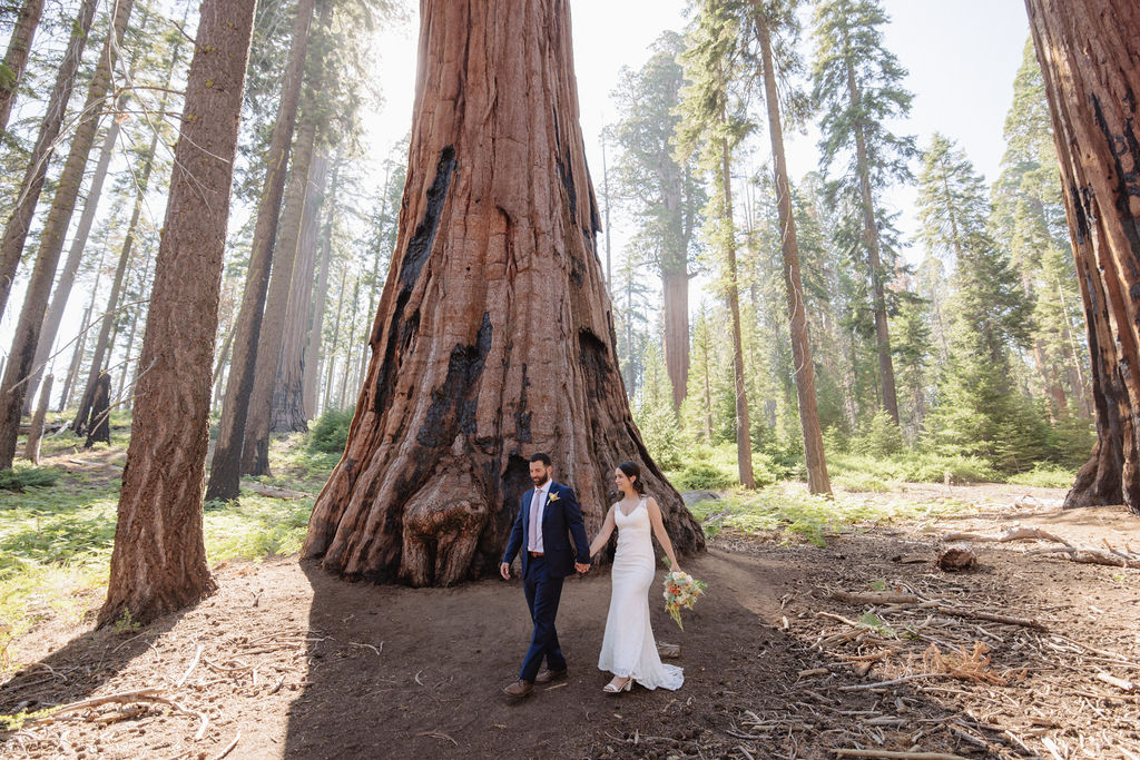 A couple stands inside a large, hollow tree trunk in a forest. The bride holds a bouquet, and tall trees are visible in the background for their elopement in california