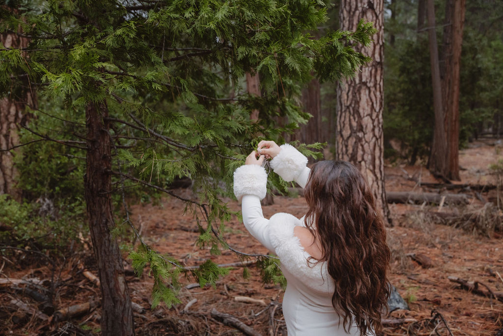 A person with long wavy hair in a white sweater faces away from the camera, reaching up to touch leaves on a tree in a forest setting.