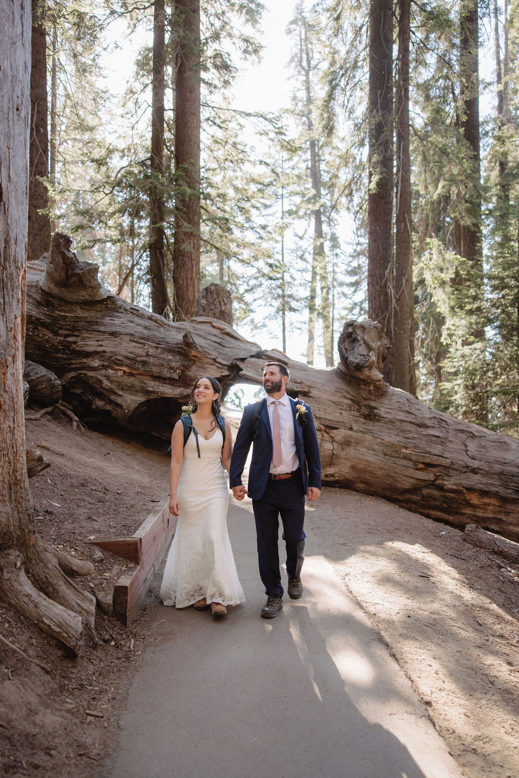 A couple stands inside a large, hollow tree trunk in a forest. The bride holds a bouquet, and tall trees are visible in the background for their elopement in california