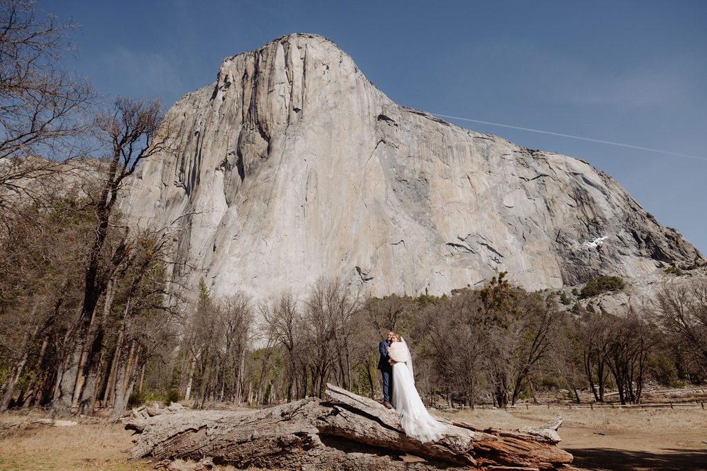 A bride and groom stand on a wooden path in an open field, holding hands, with tall mountains and pine trees in the background.