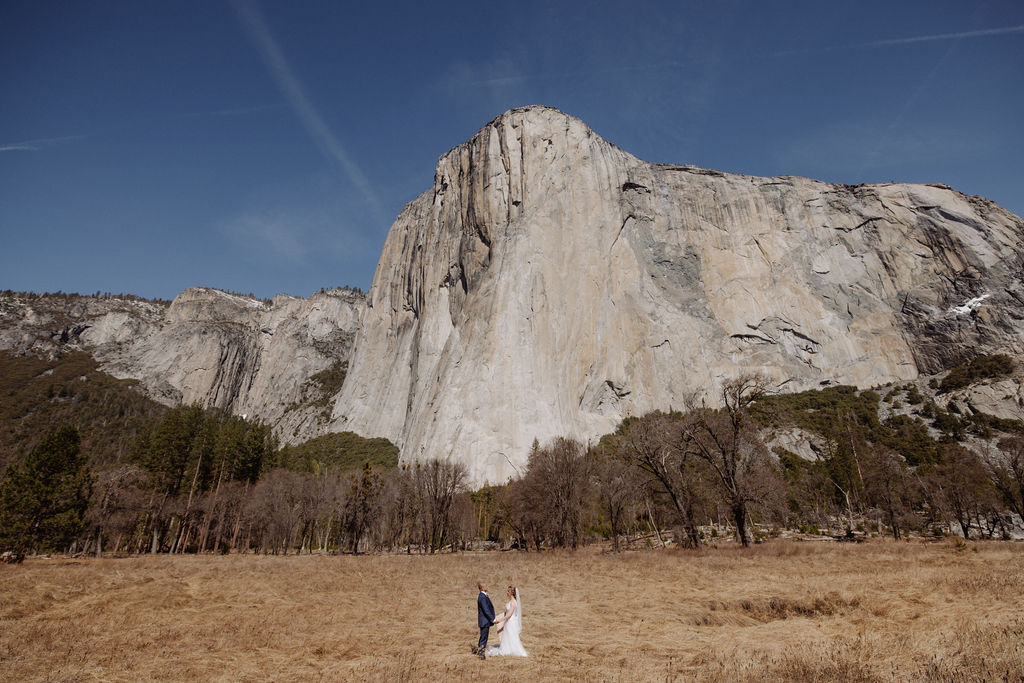 A bride and groom stand on a wooden path in an open field, holding hands, with tall mountains and pine trees in the background.