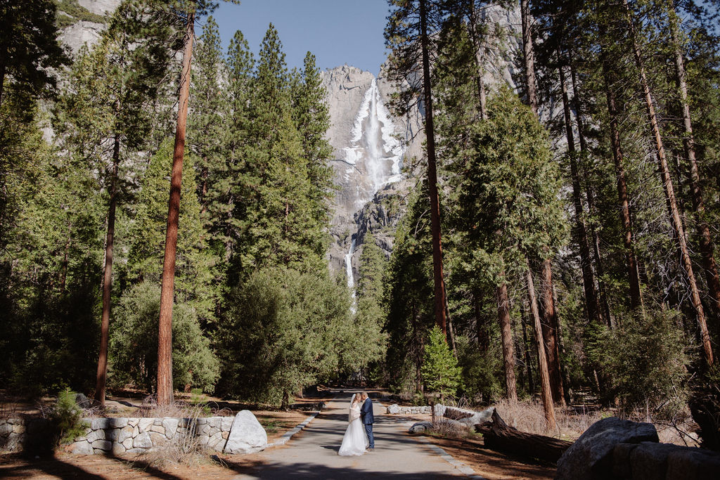 A paved path through a forest of tall pine trees leads toward a distant waterfall, with rocks and sunlight visible along the way.