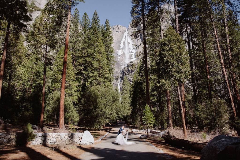 A paved path through a forest of tall pine trees leads toward a distant waterfall, with rocks and sunlight visible along the way.