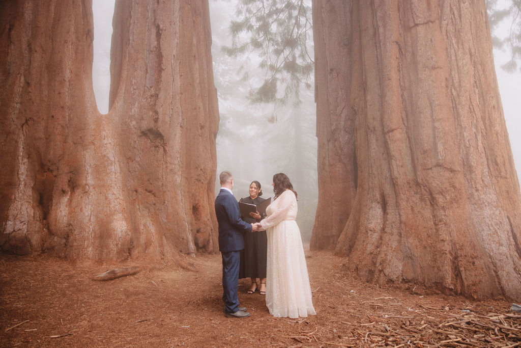 A couple stands holding hands between two large sequoia trees, with fog in the background for their sequoia adventure elopement 