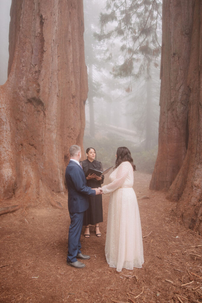 A couple stands holding hands between two large sequoia trees, with fog in the background for their sequoia adventure elopement 