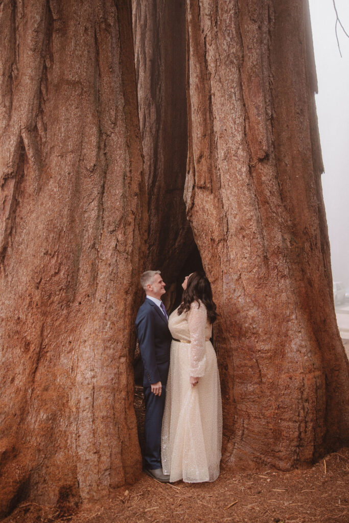 A couple stands holding hands between two large sequoia trees, with fog in the background for their sequoia adventure elopement 