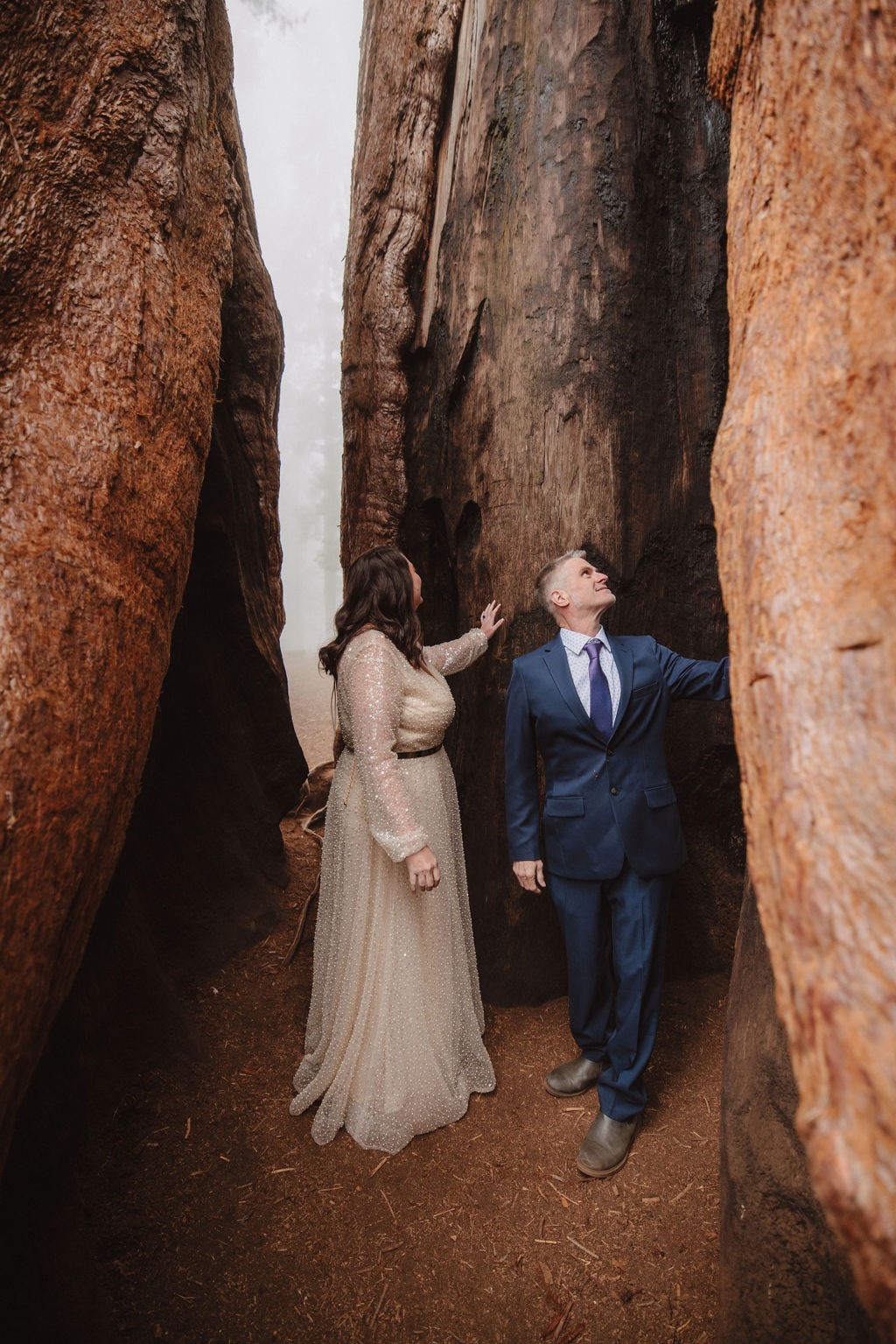 A woman in a long light dress stands on a fallen log in a forest while a man in a suit helps her balance. Tall trees and fog surround them.