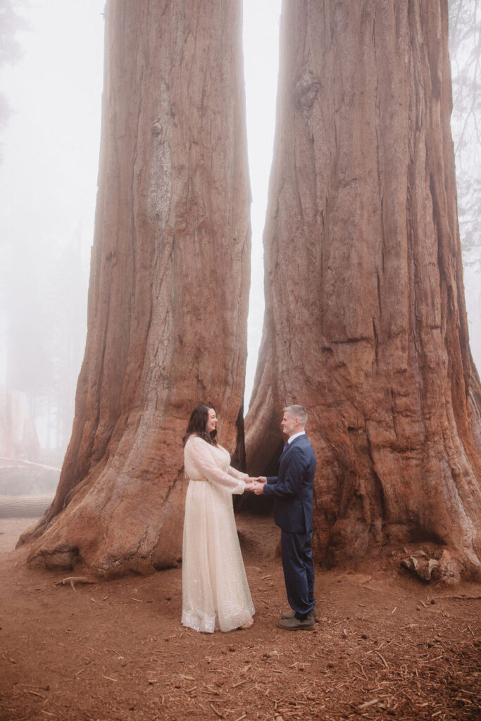 A couple stands holding hands between two large sequoia trees, with fog in the background for their sequoia adventure elopement 