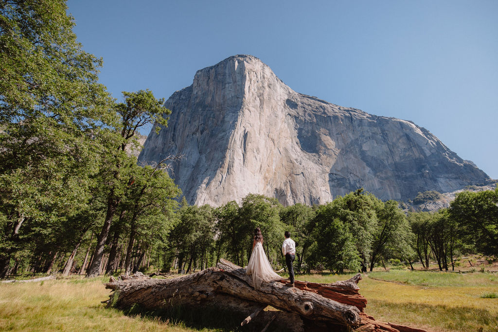 A couple stands on a fallen tree in a grassy field with tall trees, facing the large granite cliff of El Capitan in Yosemite National Park under a clear blue sky 