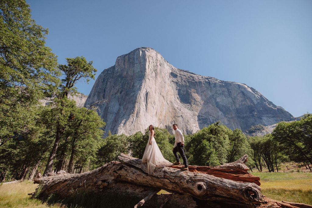 A couple stands on a fallen tree in a grassy field with tall trees, facing the large granite cliff of El Capitan in Yosemite National Park under a clear blue sky 