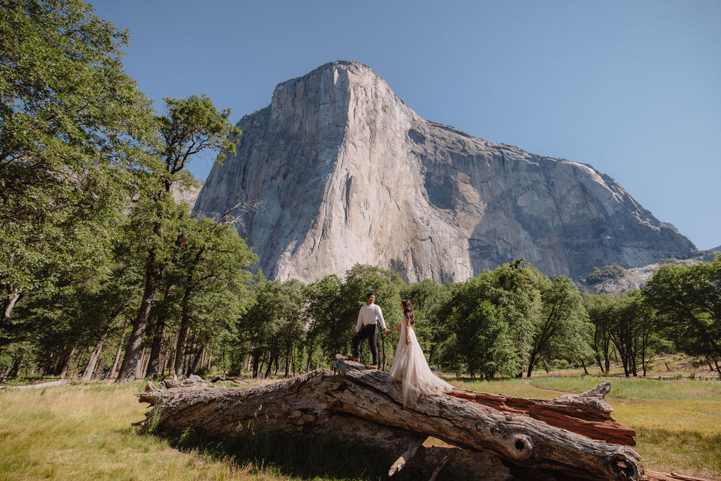 A couple stands on a fallen tree in a grassy field with tall trees, facing the large granite cliff of El Capitan in Yosemite National Park under a clear blue sky 