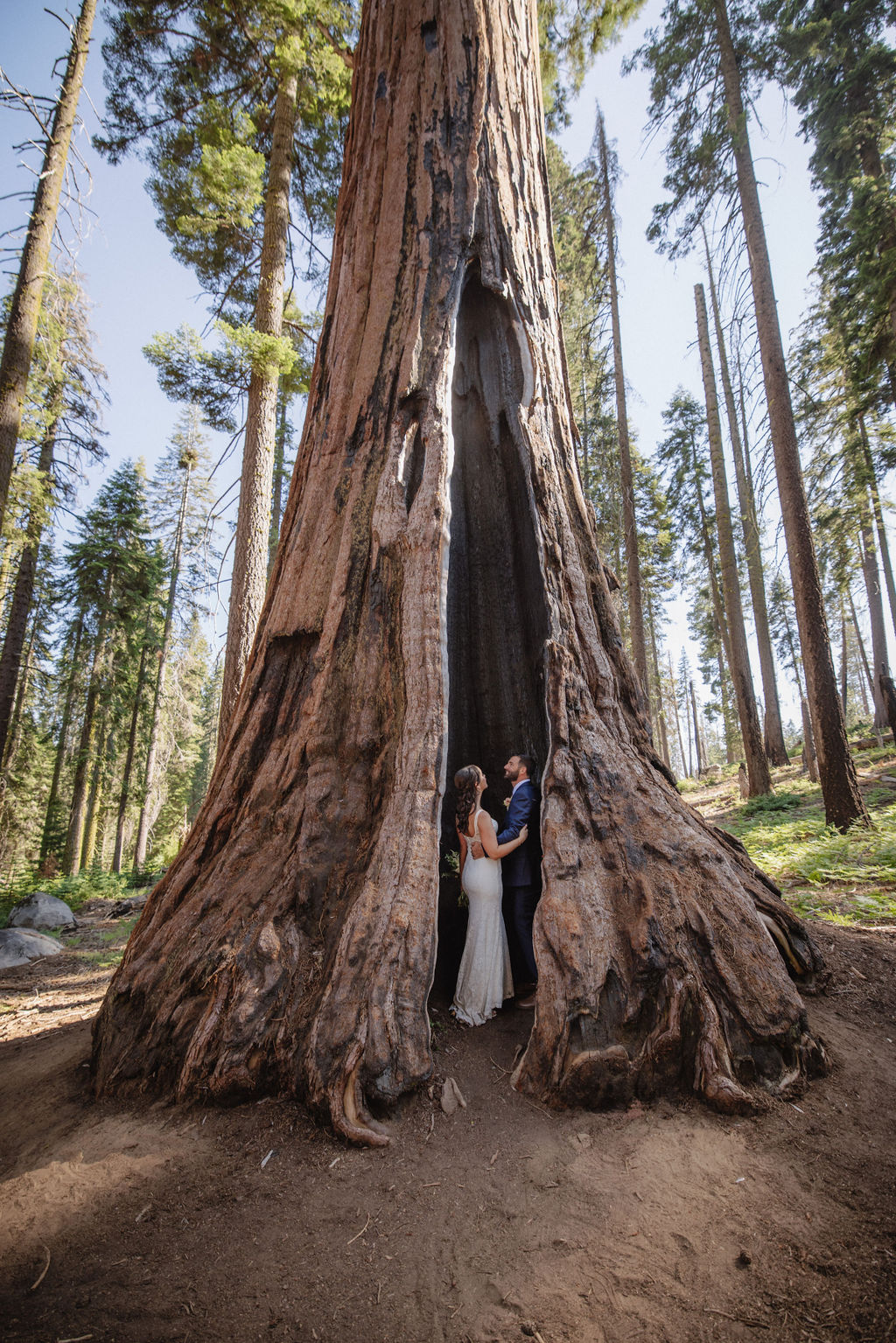 A couple stands inside the hollow base of a large sequoia tree in a forest, looking at each other as they elope in a national park