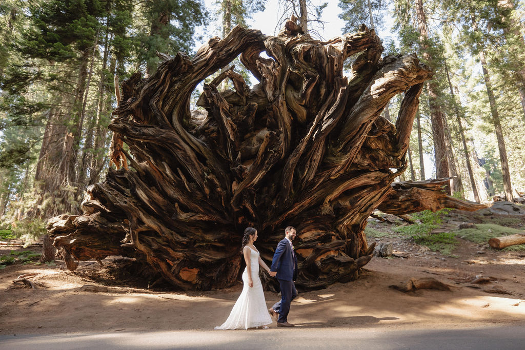 A couple stands inside the hollow base of a large sequoia tree in a forest, looking at each other as they elope in a national park