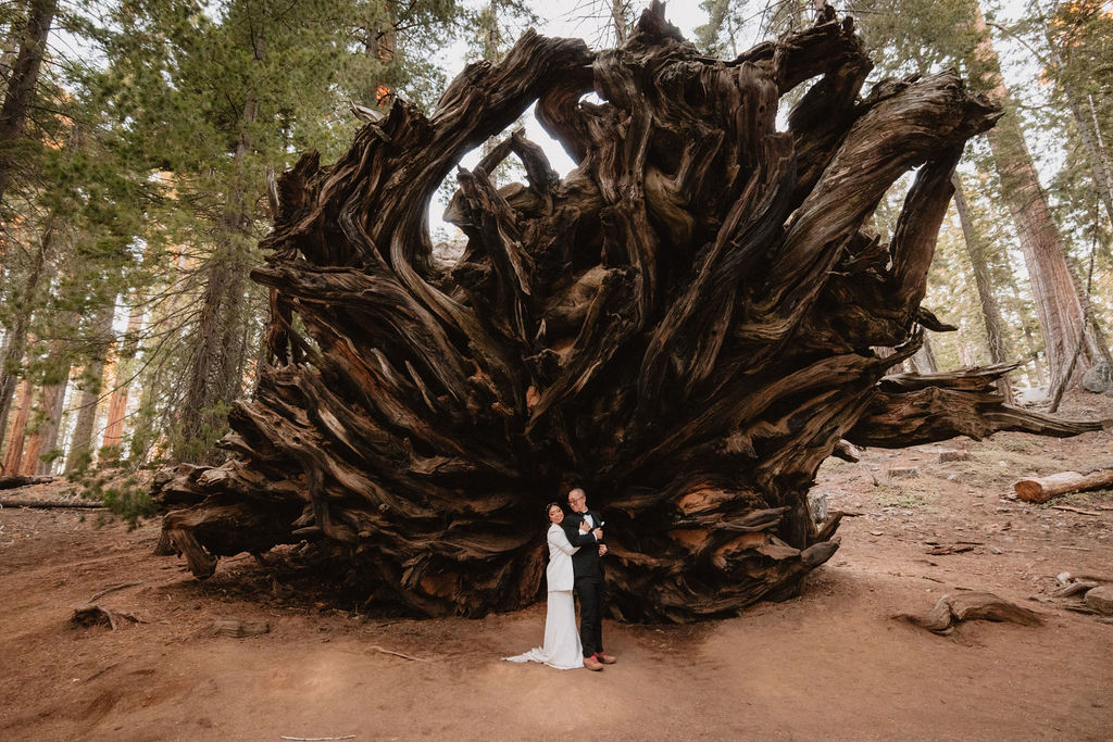 A couple in formal attire stands in front of the massive exposed roots of a fallen tree in a forest setting.
