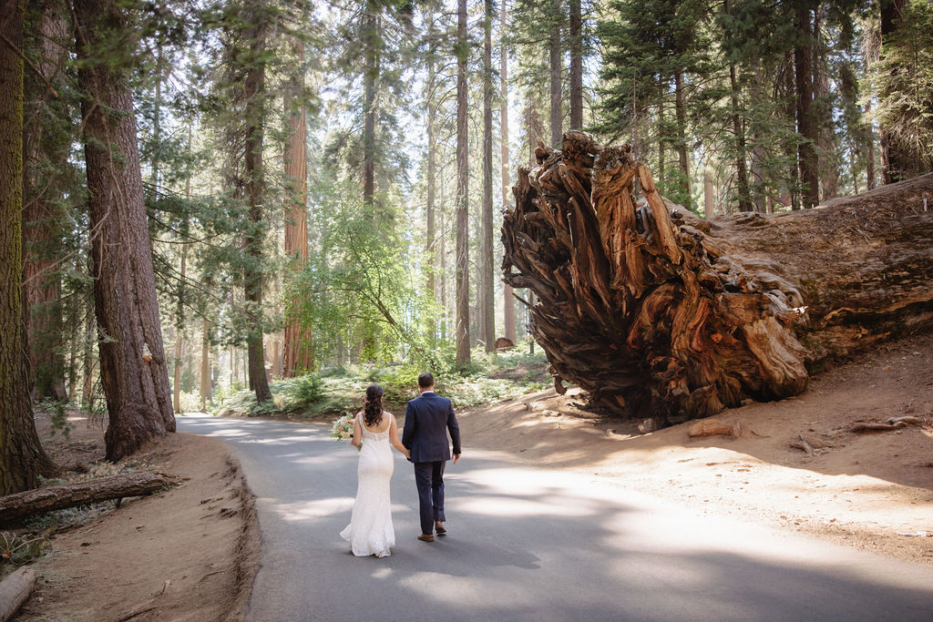 A couple stands inside the hollow base of a large sequoia tree in a forest, looking at each other as they elope in a national park
