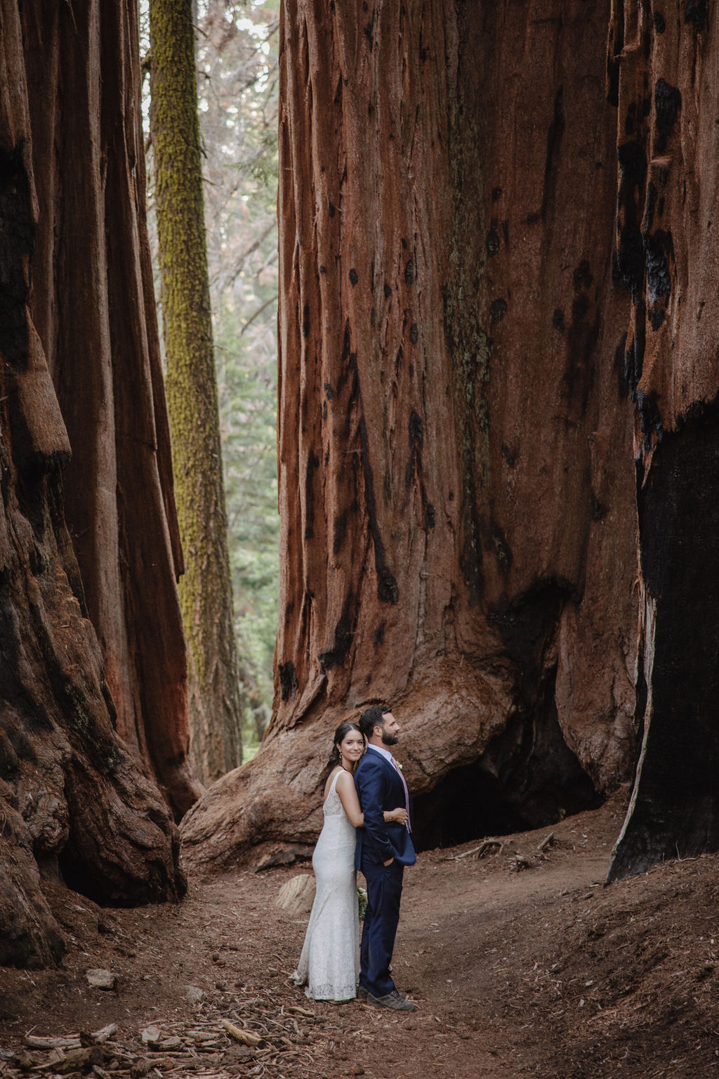 A couple in wedding attire stands hand in hand, looking up at tall redwood trees in a forest. |Elopement Planning Burnout Is Real & Here’s What to Do About It