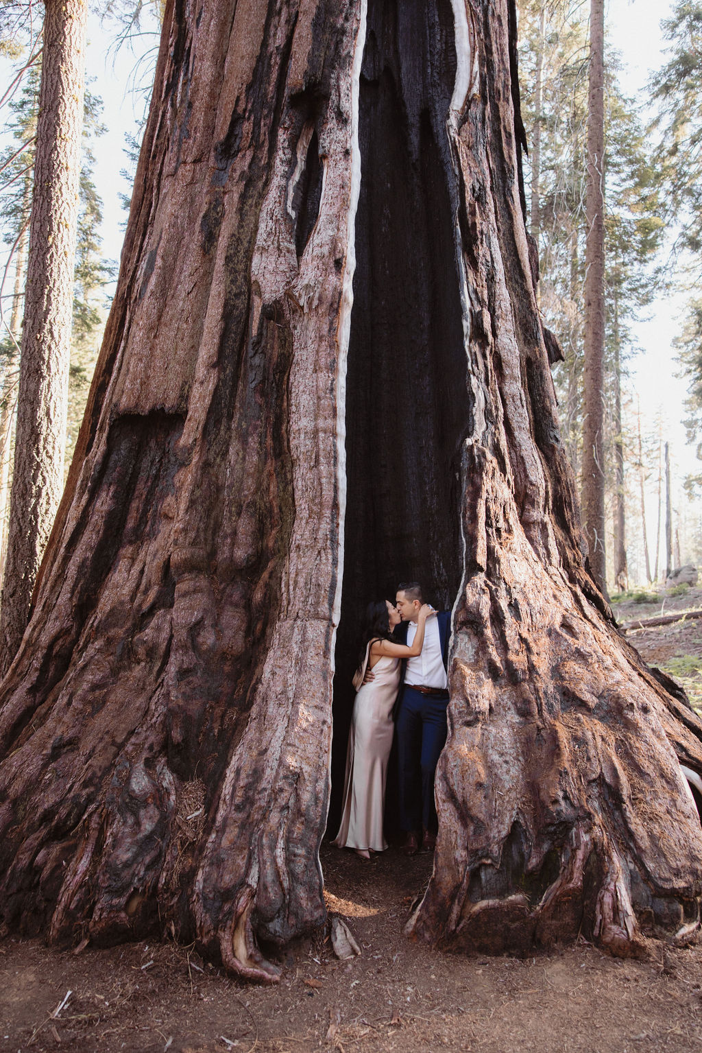 A couple stands inside the hollow base of a large sequoia tree in a forest, looking at each other as they elope in a national park