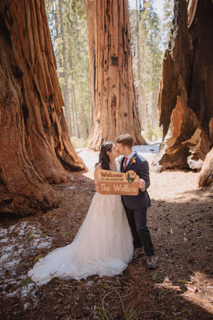 A bride and groom stand embracing in the middle of a forest, surrounded by tall, wide redwood trees.