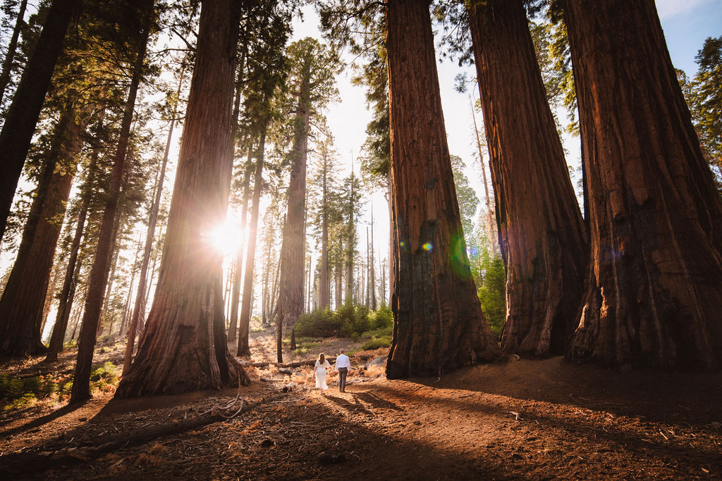A couple stands close together in a sunlit forest clearing, the woman in a white dress and the man in a white shirt and tie, surrounded by tall trees and grass. | Elopement Planning Burnout Is Real & Here’s What to Do About It