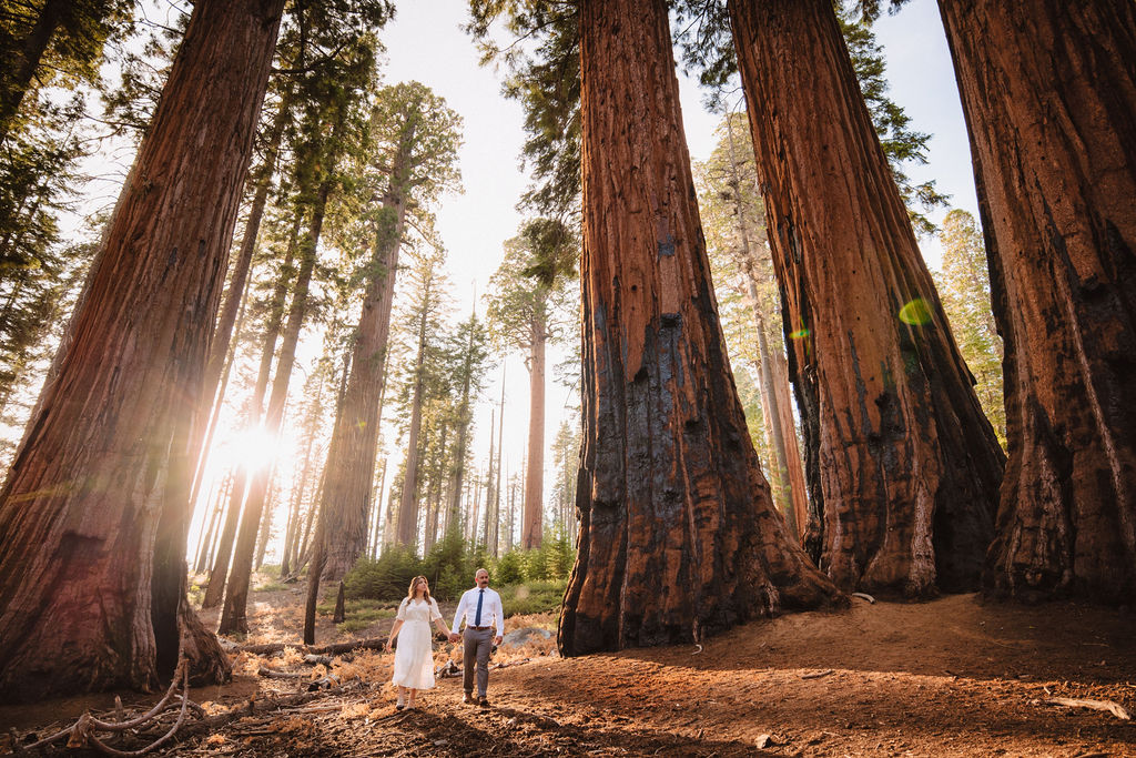 A couple stands close together in a sunlit forest clearing, the woman in a white dress and the man in a white shirt and tie, surrounded by tall trees and grass. | Elopement Planning Burnout Is Real & Here’s What to Do About It