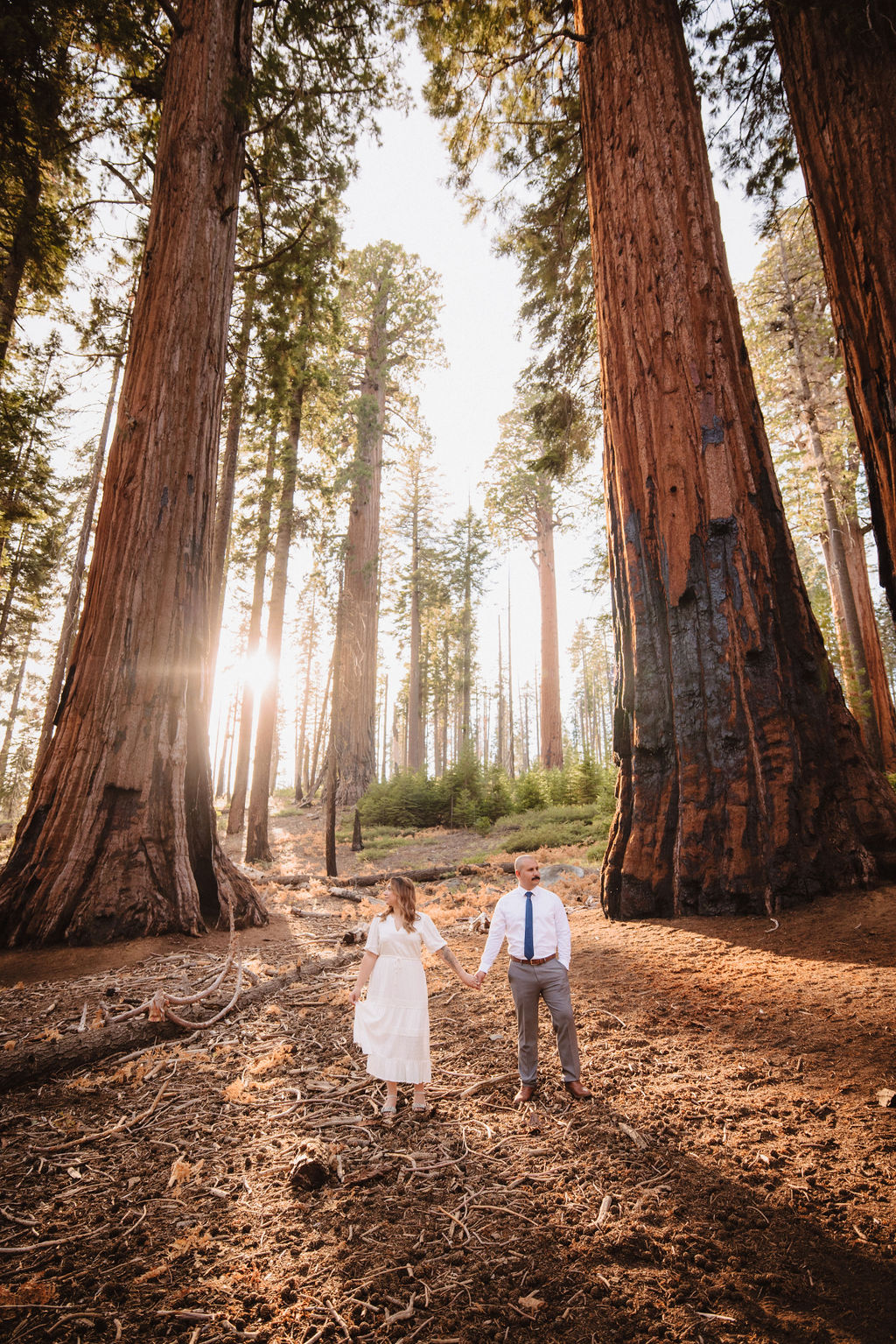 A couple stands close together in a sunlit forest clearing, the woman in a white dress and the man in a white shirt and tie, surrounded by tall trees and grass. | Elopement Planning Burnout Is Real & Here’s What to Do About It