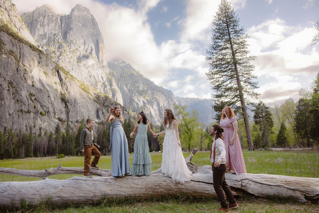 Six people in formal attire stand and hold hands on a fallen tree in a grassy field with mountains and pine trees in the background under a partly cloudy sky.
