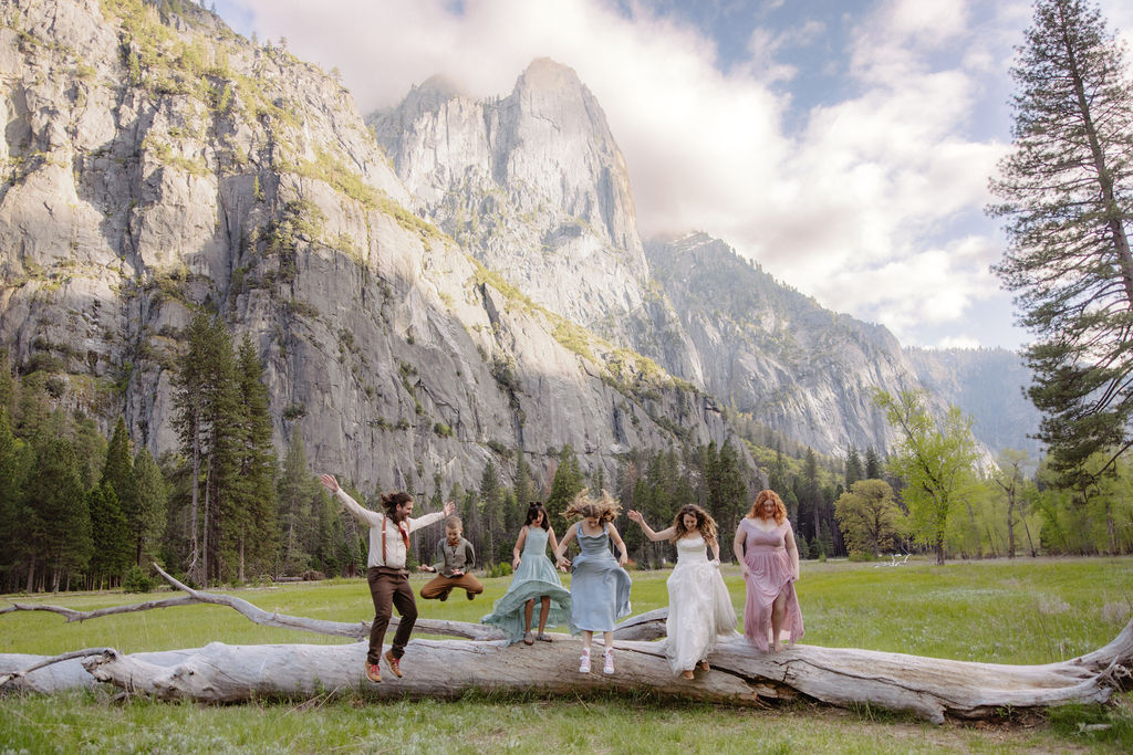 Six people in formal attire stand and hold hands on a fallen tree in a grassy field with mountains and pine trees in the background under a partly cloudy sky.