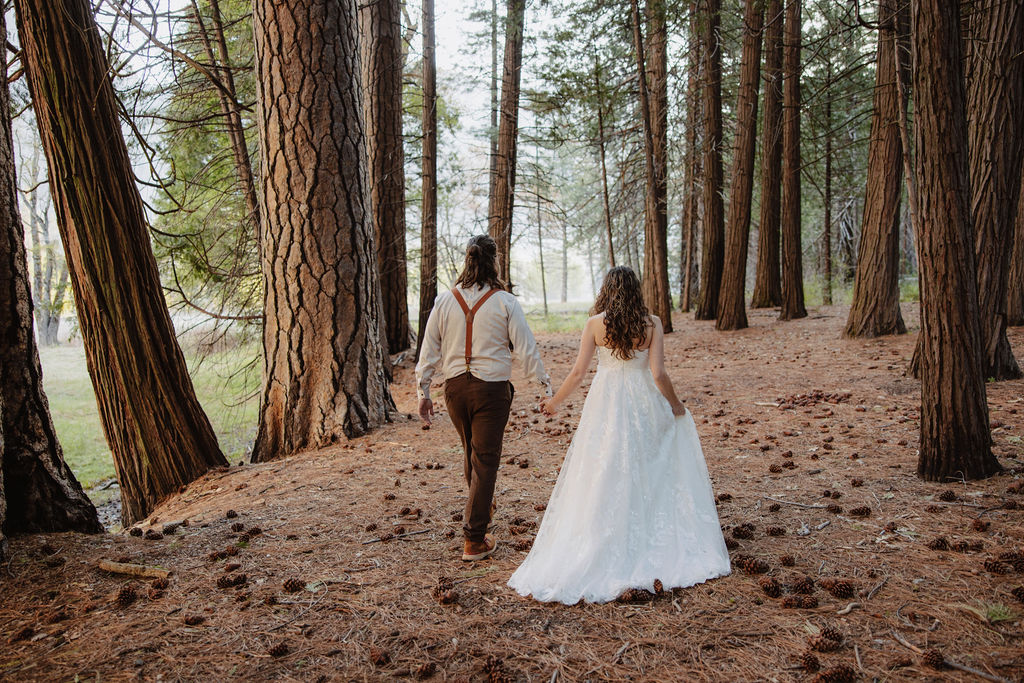 bride and groom take wedding portraits in yosemite national park
