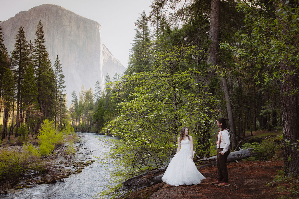 bride and groom take wedding portraits in yosemite national park