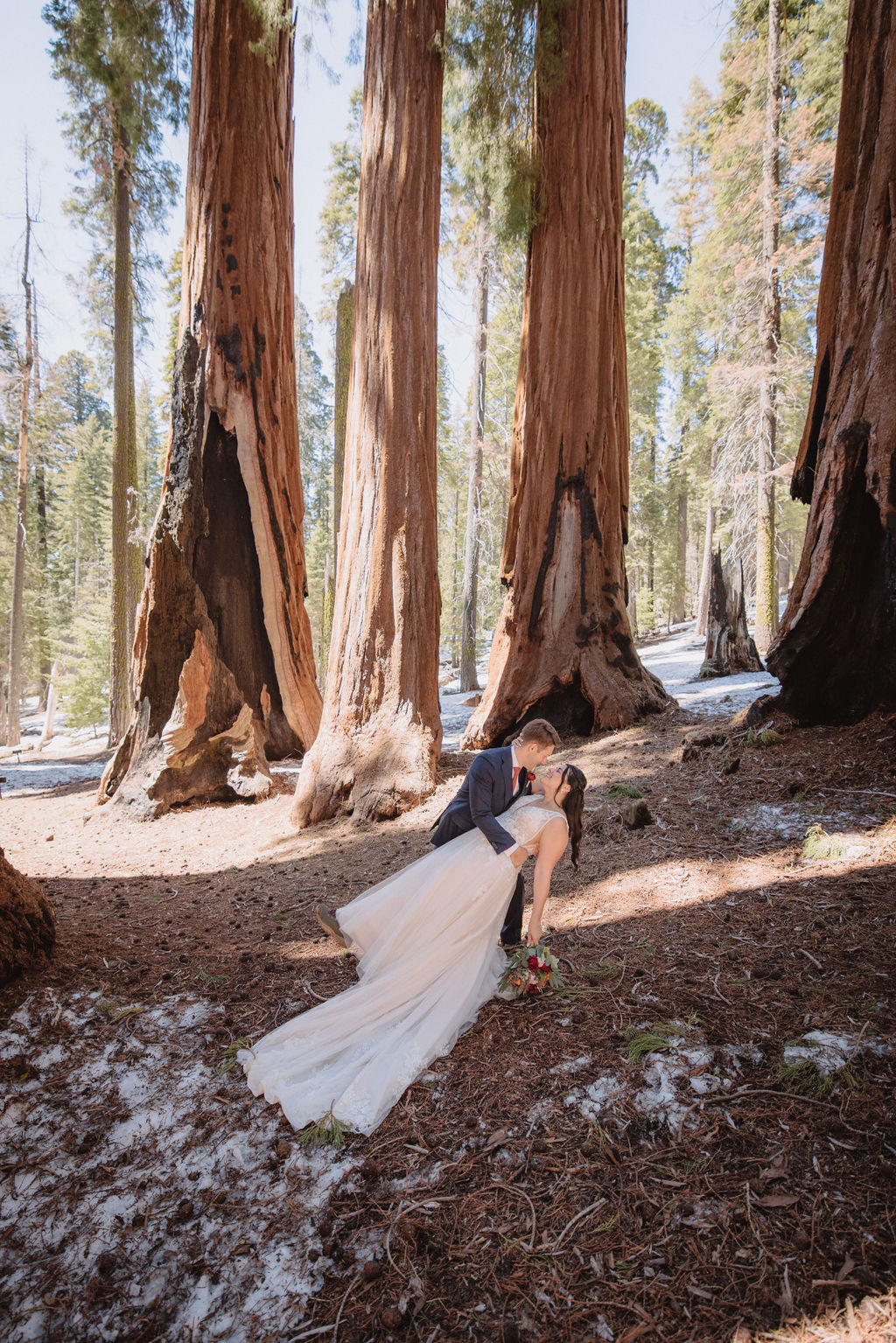 A bride and groom stand together in a forest, surrounded by large sequoia trees, with sunlight filtering through the branches. Elopement vs. Micro Wedding: Which Is Right for You?