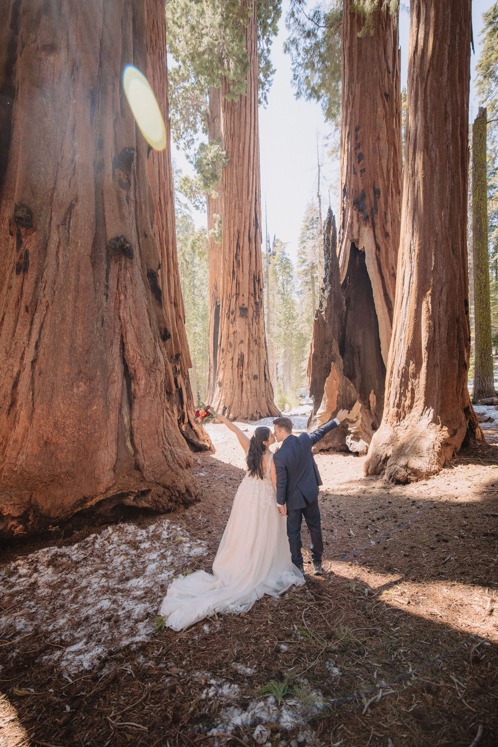 A bride and groom stand together in a forest, surrounded by large sequoia trees, with sunlight filtering through the branches. Elopement vs. Micro Wedding: Which Is Right for You?