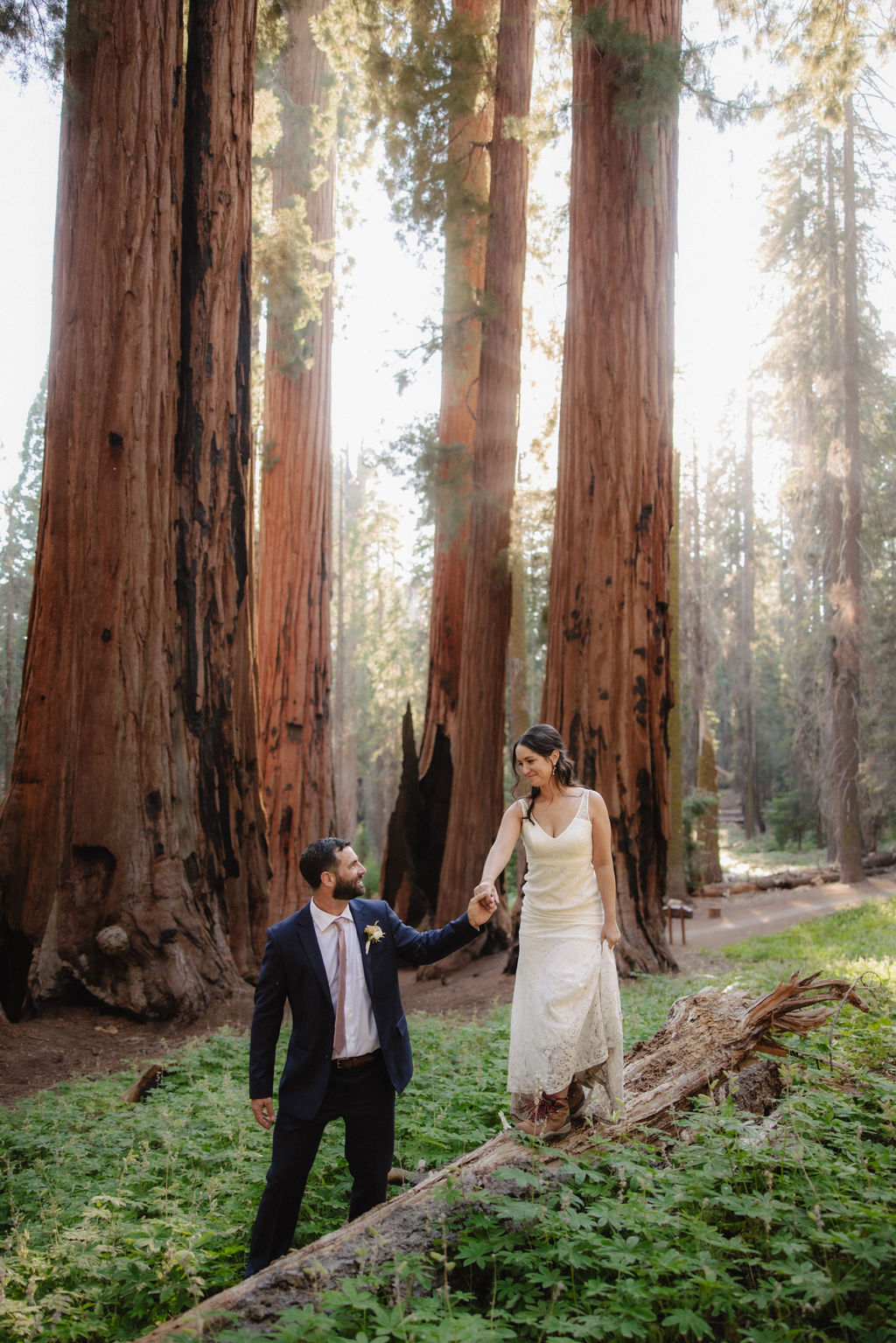 A bride and groom walk hand-in-hand through a forest of tall, reddish-barked trees, with sunlight filtering through the branches.