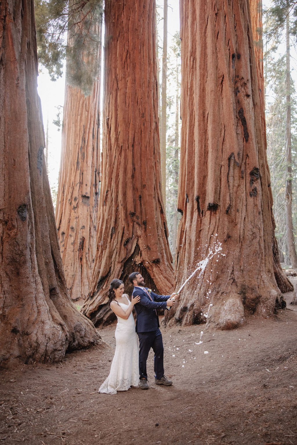 A bride and groom walk hand-in-hand through a forest of tall, reddish-barked trees, with sunlight filtering through the branches.