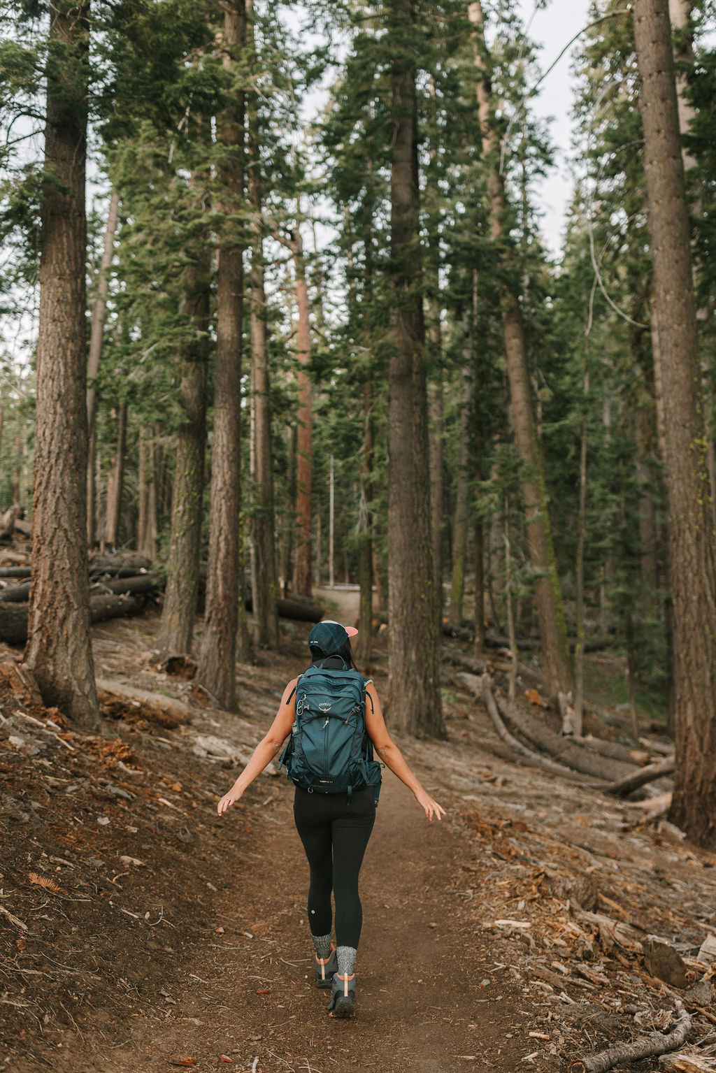 A person wearing a cap, vest, and athletic clothing walks on a dirt trail through a forest with tall trees. | Alyssa Michele Photo 