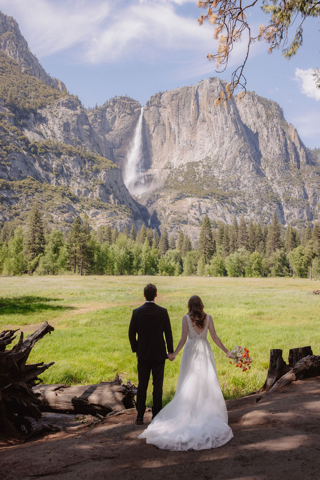 A bride and groom stand hand in hand, facing a green meadow with a tall waterfall and rocky cliffs in the background for a last minute elopement in Yosemite