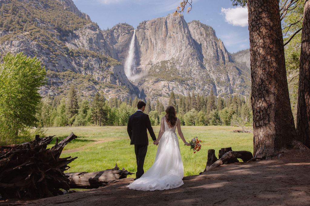 A bride and groom stand hand in hand, facing a green meadow with a tall waterfall and rocky cliffs in the background for a last minute elopement in Yosemite