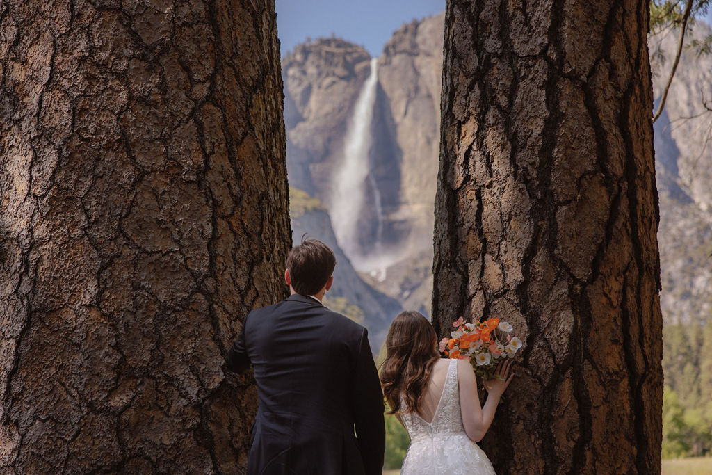 A bride and groom stand hand in hand, facing a green meadow with a tall waterfall and rocky cliffs in the background for a last minute elopement in Yosemite