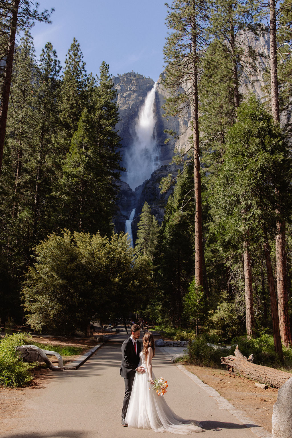 A bride and groom stand on a path surrounded by tall trees with a large waterfall cascading down a mountain in the background.
