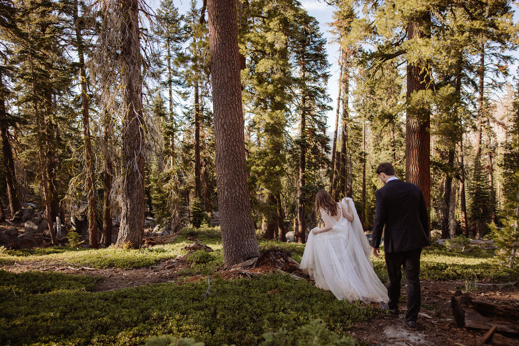 A bride and groom walk through a forest, surrounded by tall trees and greenery on a sunny day.