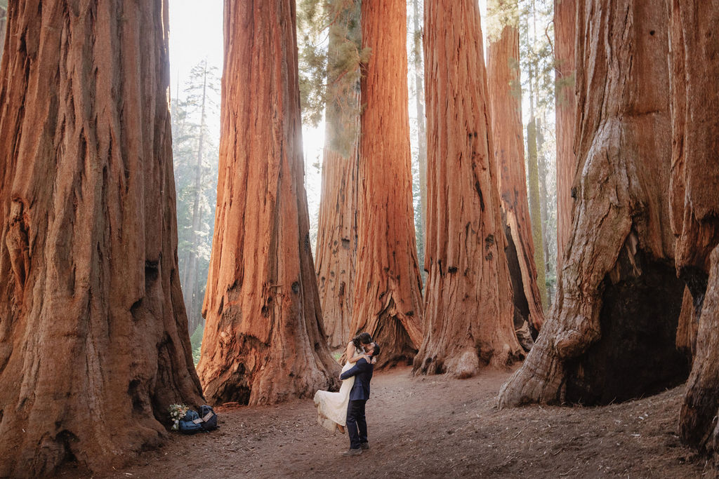 A couple dressed formally embraces among giant redwood trees in a forest, with sunlight filtering through the tall trunks for an adventure elopement