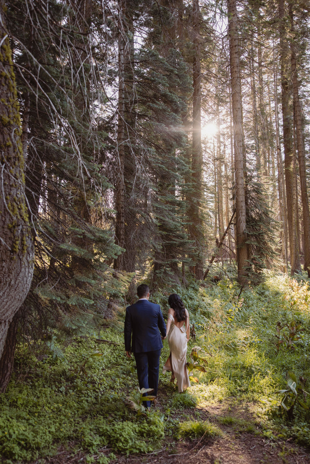 A couple embraces in a sunlit forest, with the woman lifting one leg as she is hugged by the man amid tall trees and green foliage for their post elopement session