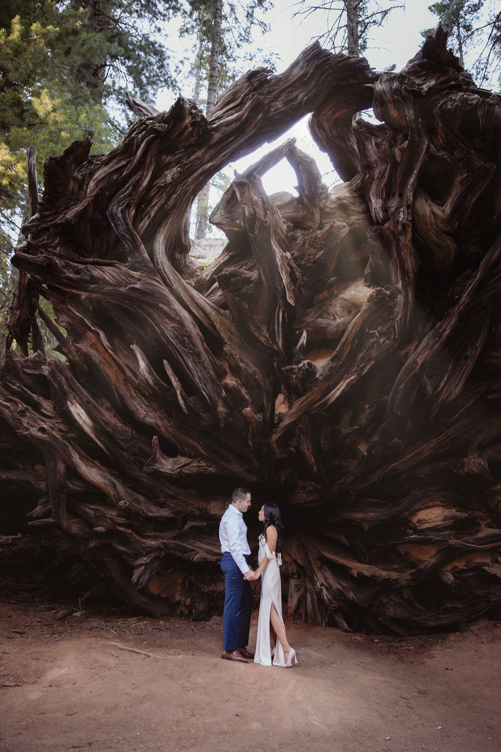 A couple stands holding hands in front of the massive roots of an overturned tree in a forest.