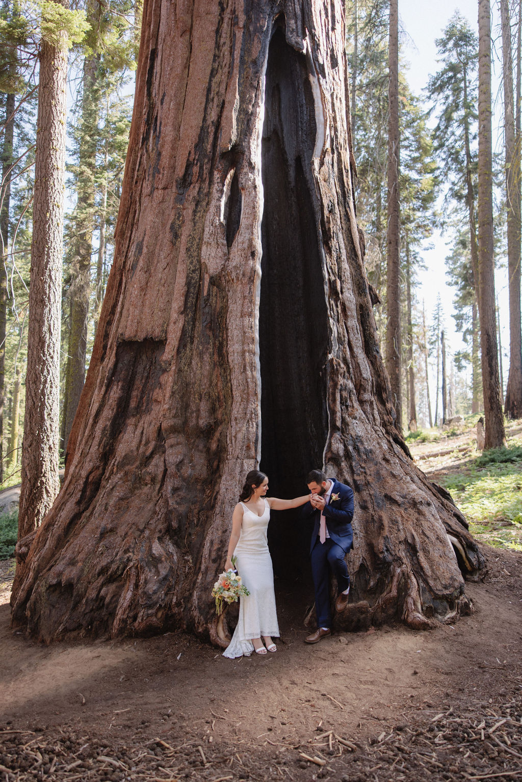 A bride and groom stand inside the hollow base of a large sequoia tree in a forest, with sunlight filtering through the tall trees around them.
