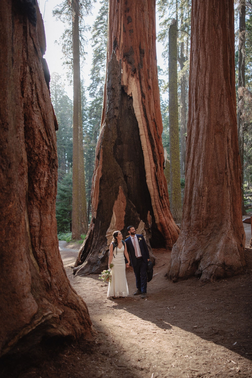 A couple in formal attire walks hand in hand among towering redwood trees in a forest setting.
