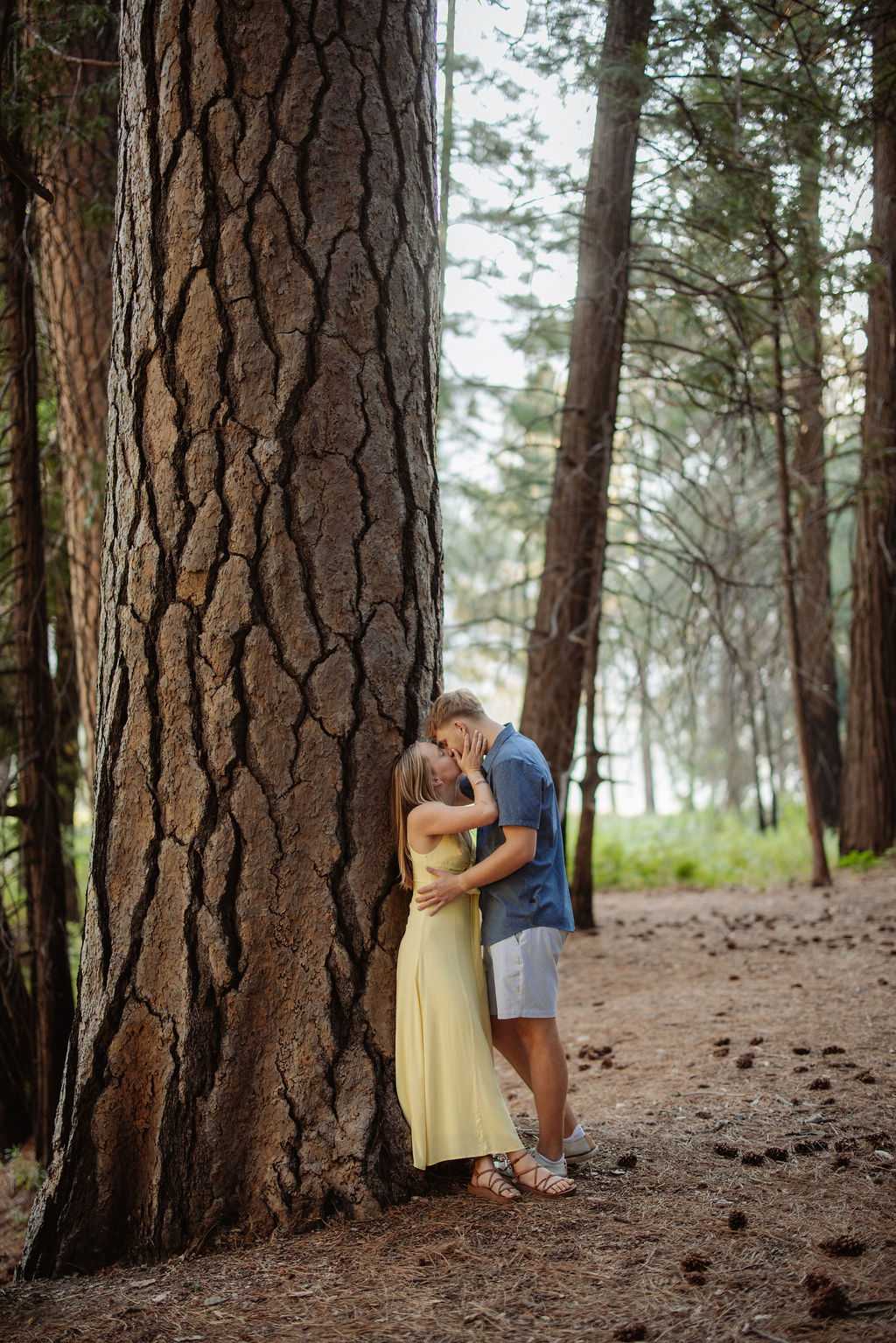 A woman in a yellow dress and a man in a blue shirt stand by a tree in a forest, looking at each other and smiling.